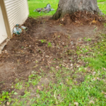 yard clean ups after