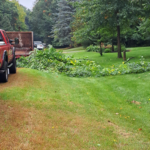 shrub trimming debris removal eau claire wi