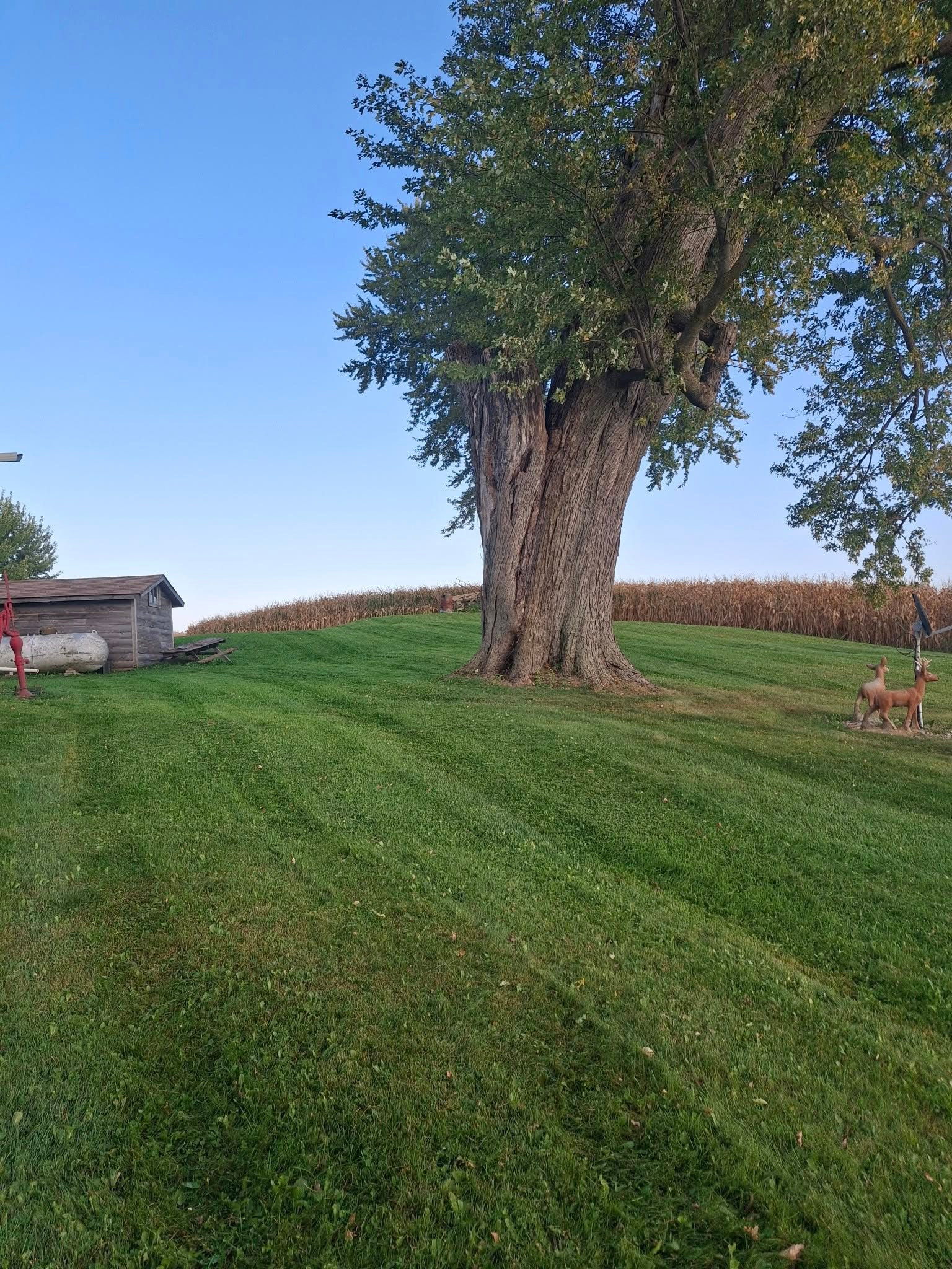 Garbers & Sons crew mowing lawn in Eau Claire WI