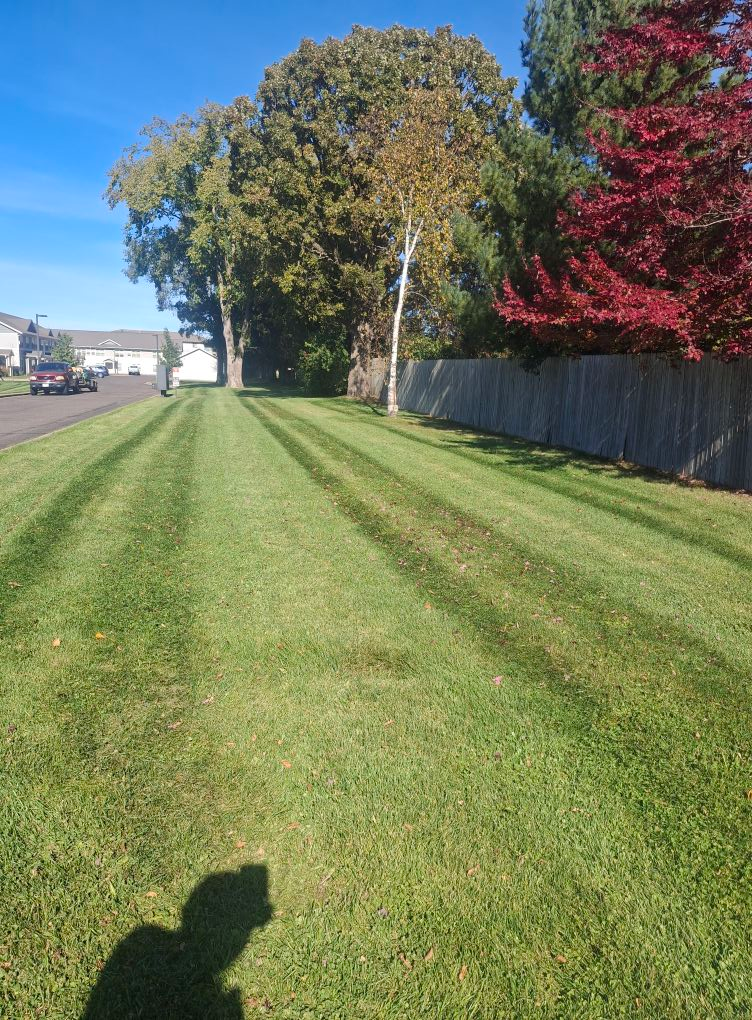 lawns.webp