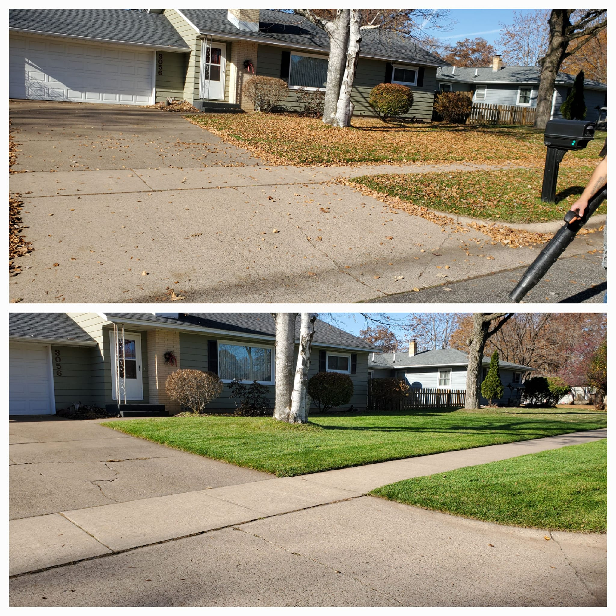 leaf clean up 3.webp