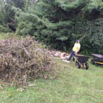 brush clean up altoona wi