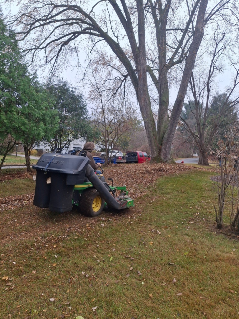 Spring clean ups eau claire wi