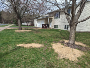 Lawn seeding Eau Claire wi
